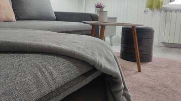 Apartment (One bedroom apartment) | Living room | TV