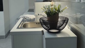 A modern kitchen with a stainless steel sink, a kettle, and a potted plant on the counter. - Apartment Iskra (Plitvicka Jezera)