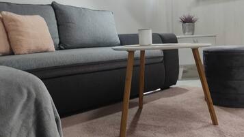 Apartment (One bedroom apartment) | Living room | TV