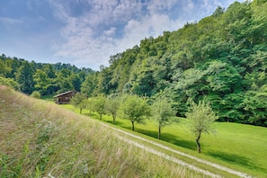 Escape to a serene rural retreat surrounded by lush greenery and a gentle slope.
