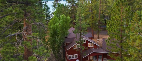 A red cabin surrounded by dense pine trees, overlooking a lake and distant mountains.