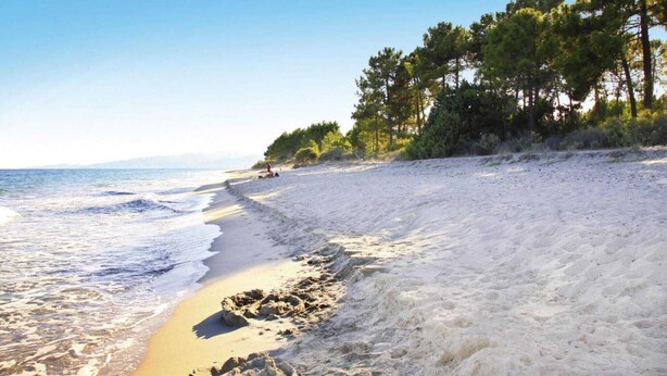 Ein Strand mit blauem Himmel, sandigem Ufer und Bäumen.