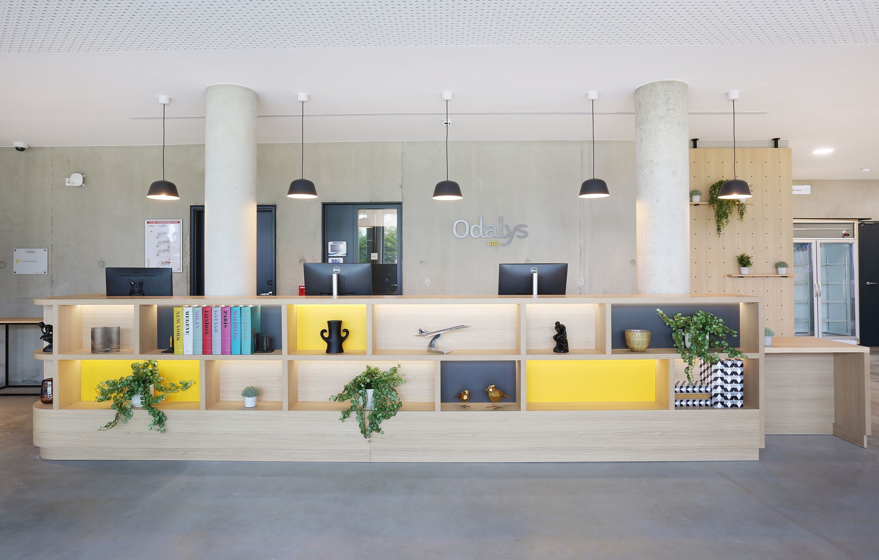 Una mesa de recepción de diseño moderno, con una placa con nombre, libros, objetos decorativos y plantas.