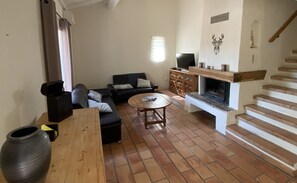 Télévision, cheminée, livres, chaîne hi-fi