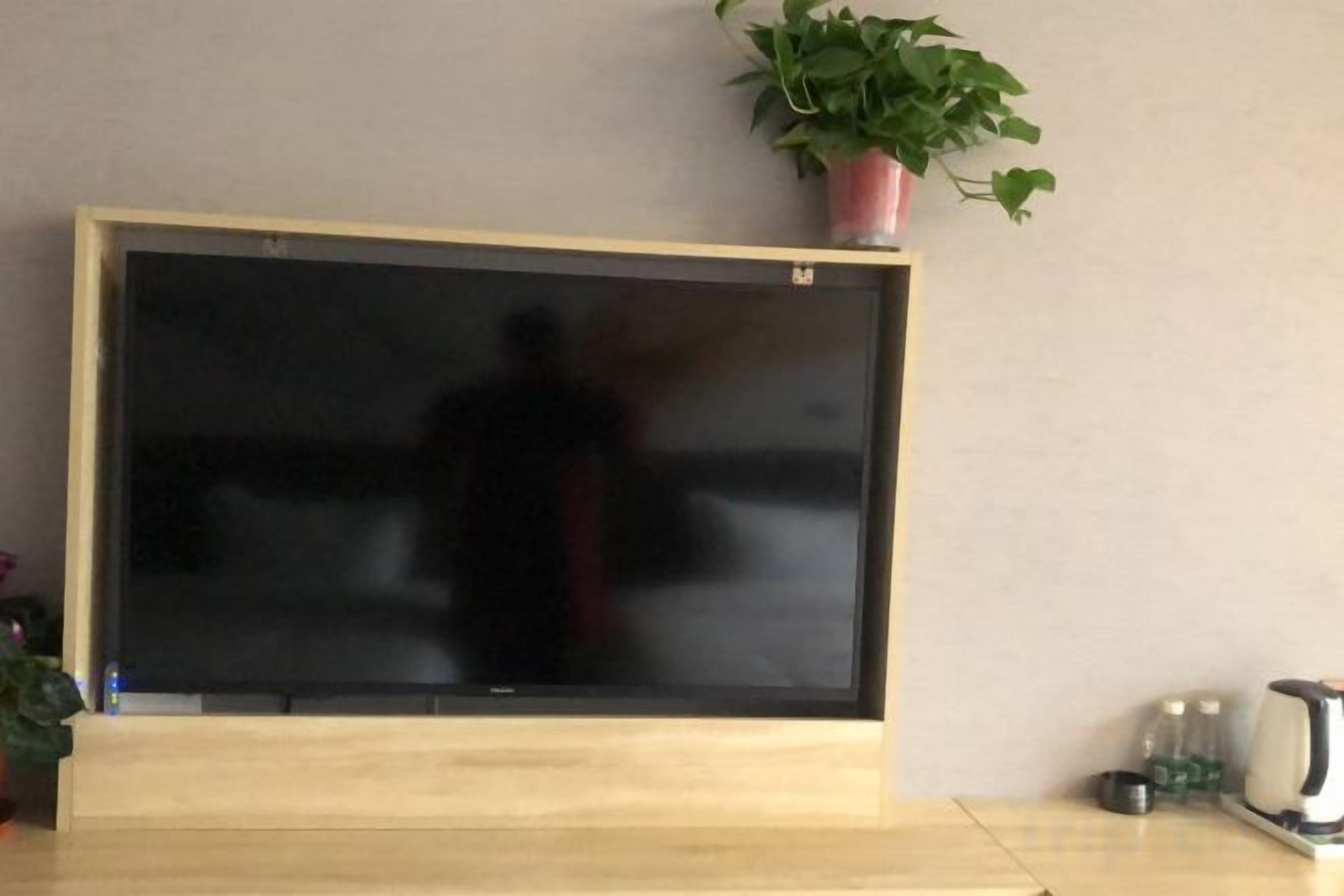 A flat-screen TV mounted on a wooden stand with a potted plant above it.