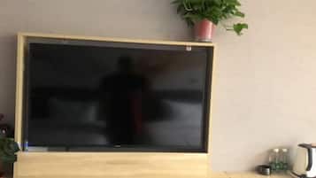 A flat-screen TV mounted on a wooden stand with a potted plant above it.