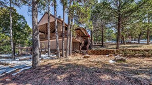 Une cabane au revêtement extérieur en bois, entourée de grands pins, et un mur de pierres au premier plan.