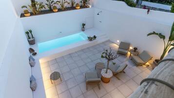 A rooftop patio with a small pool, seating area, and potted plants.