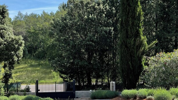 A paved driveway leading to a gated entrance surrounded by dense greenery and tall trees. - Provençal villa (Le Thoronet)