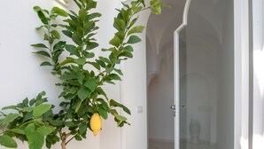 Une plante en pot avec un fruit jaune, un paillasson et une porte vitrée donnant accès à une salle de bain.