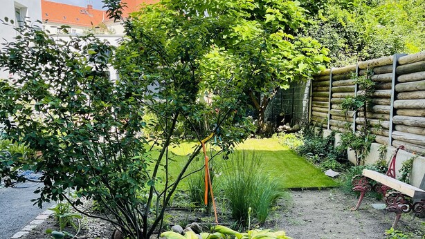 Un jardin avec différentes sortes de plantes et un banc.