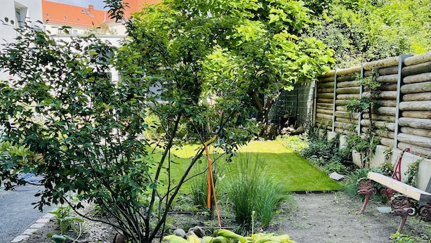 En trädgård med olika växter och en bänk.