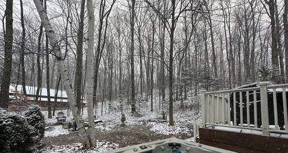 5 bedrm 5.5 ba home-wooded setting-Lake Leelanau-Air-Pet ok-Hot Tub