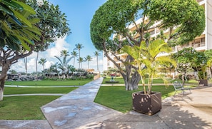 A well-maintained hotel courtyard with a paved walkway, lush green lawns, and various tropical plants.