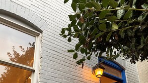 A building with a blue door, a white brick wall, and a window with a reflection.