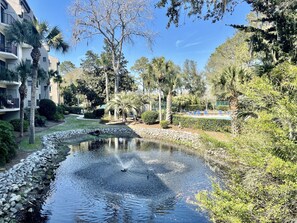 Property grounds - RENOVATED VILLA NEAR COLIGNY BEACH WITH POOL & TENNIS HILTON HEAD (Hilton Head Island)