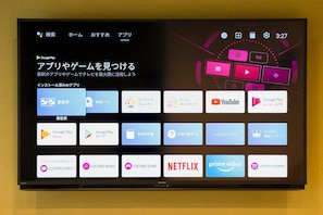 Television