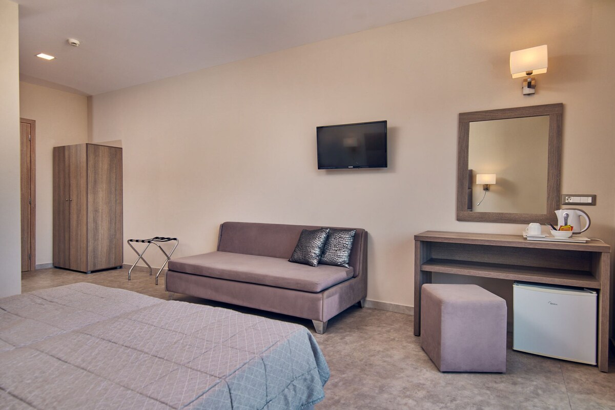 A hotel room with a bed, a sofa, a desk with a mirror, a television, and a small refrigerator.