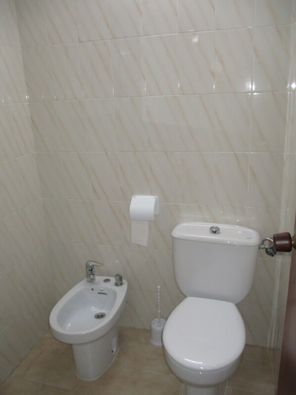 Shower, hair dryer, toilet paper