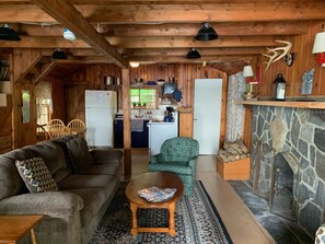 Fireplace, books