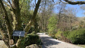 Ein Kiesweg führt durch ein bewaldetes Gebiet, ein Schild weist hier den Weg zu Dippers und Tider Press.