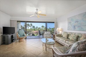 テレビ、DVD プレーヤー