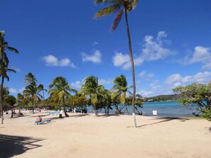 A beach with palm trees, clear blue sky, and calm sea. - Beautifully Furnished Studio Minutes From the Beach with King Sized Bed (St. Thomas)