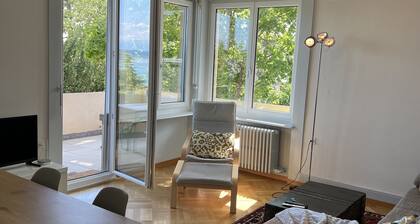 Large apartment . 3 bedrooms, Alpes Rez, Neuchatel