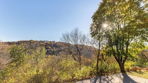 A paved path through a wooded area with trees and a hill in the background.