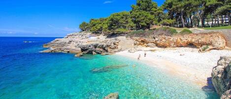Plage à proximité, serviettes de plage