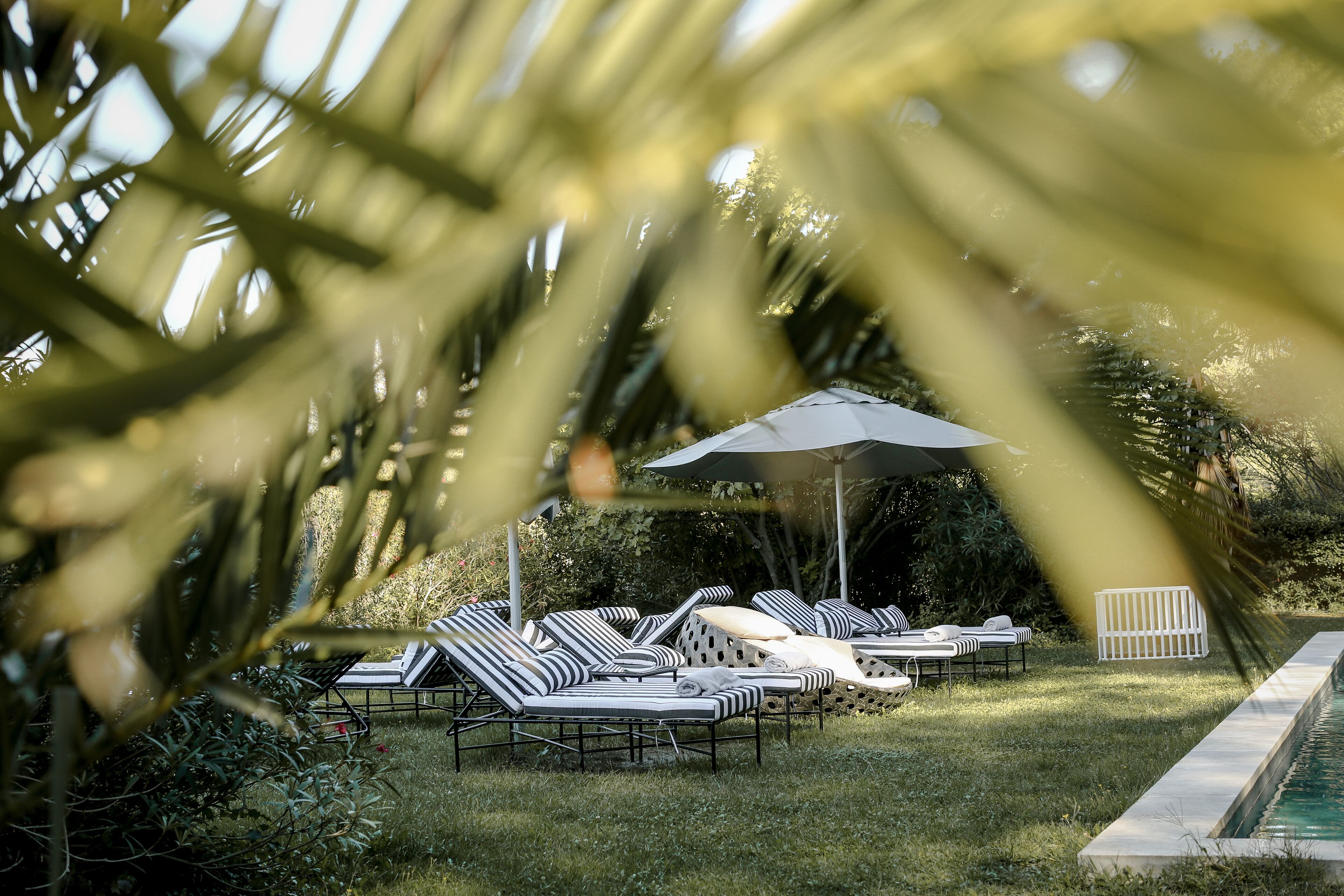 A poolside area with lounge chairs and umbrellas, surrounded by greenery.