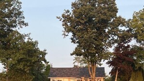A lakeside property with a house, a staircase leading to a dock, and a large tree. - Smith's Lake House 4 bedroom, enjoy spectacular sunrises, 2 bathroom, built 2021 (Penn Yan)