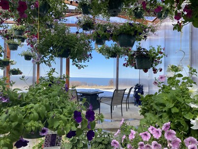 Private Cozy Cabin with Amazing Inlet Views