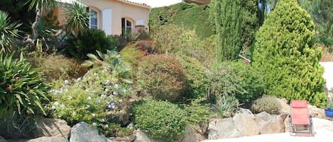 Alberca