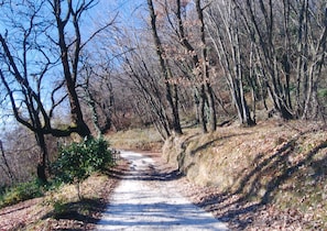 Terrain de l’hébergement 