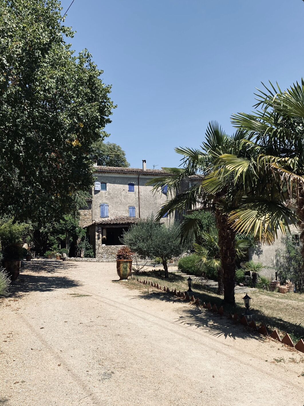 A rustic building with a dirt path leading to a wooden door, surrounded by lush greenery and palm trees.