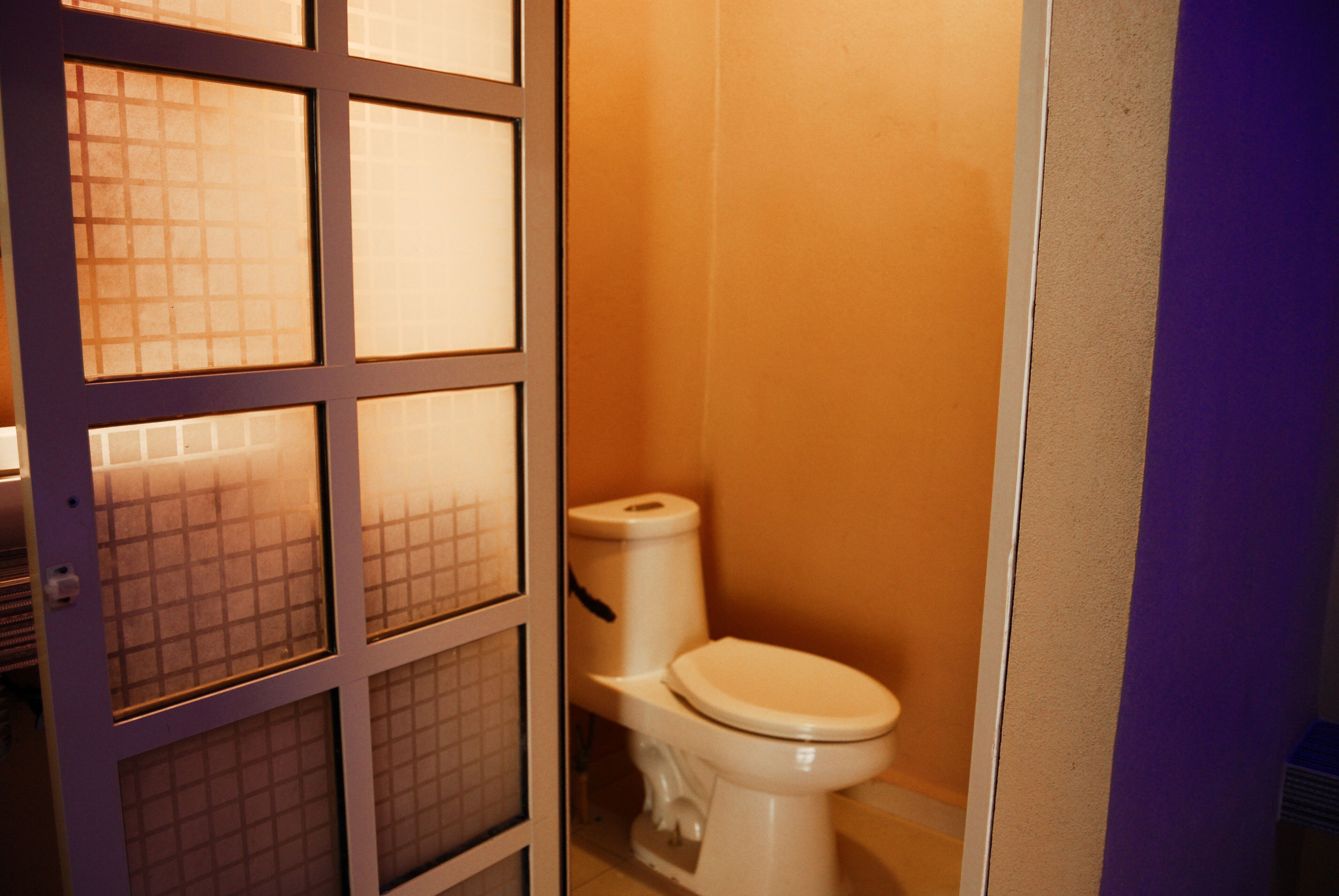 Un baño con inodoro, puerta de vidrio y pared morada.