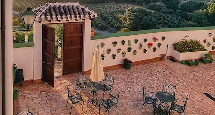 Beautiful Andalusian house located between olive groves. Up to 30+ people