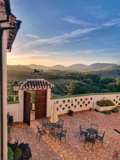 Beautiful Andalusian house located between olive groves. Up to 40+ people