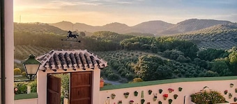 Beautiful Andalusian house located between olive groves. Up to 30+ people