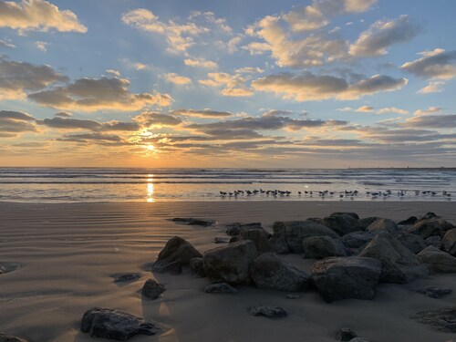 Pet Friendly - Walk to the warm October Waters of the Gulf, Cozy Home