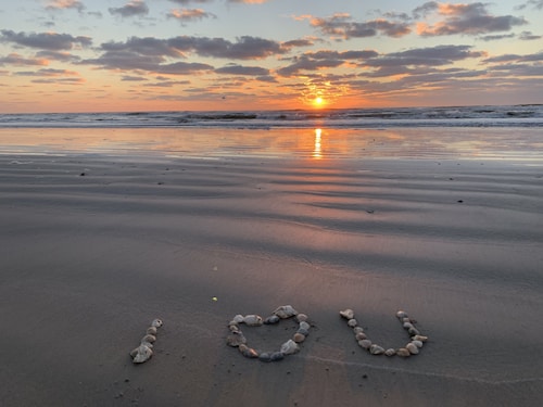 Pet Friendly - Walk to the Beach, Cozy Home