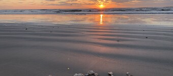 Pet Friendly - Walk to the Beach, Cozy Home