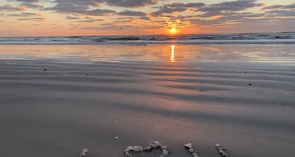 Pet Friendly - Walk to the Beach, Cozy Home