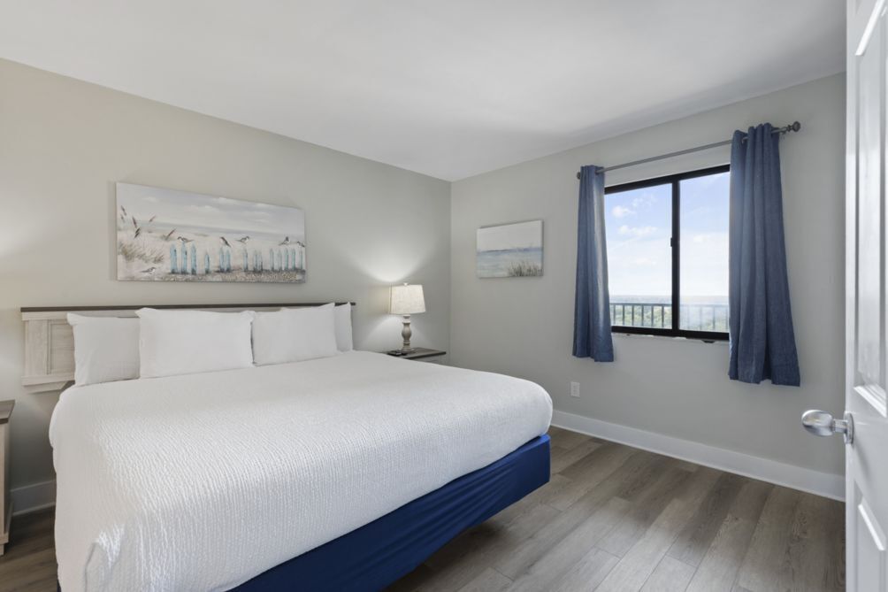 📢 Snowbirds Monthly Discounts Lively Views from the balcony at Ocean Forest Plaza