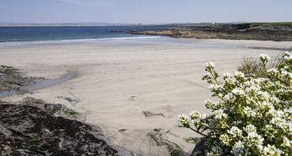 Matthews Cottage Doonbeg