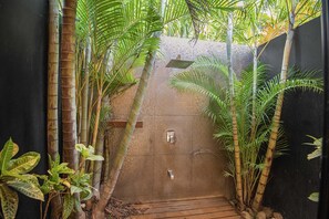 A narrow, enclosed space with bamboo plants and a textured wall.