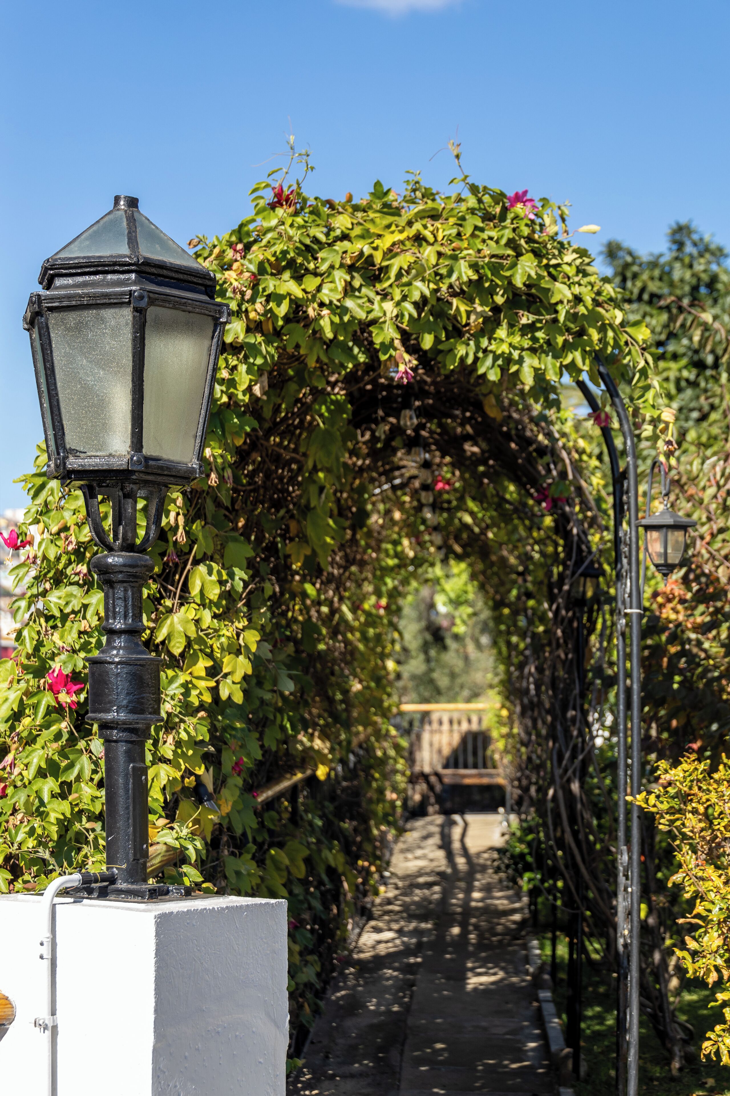 Un sendero con un farol y un arco cubierto de plantas trepadoras.