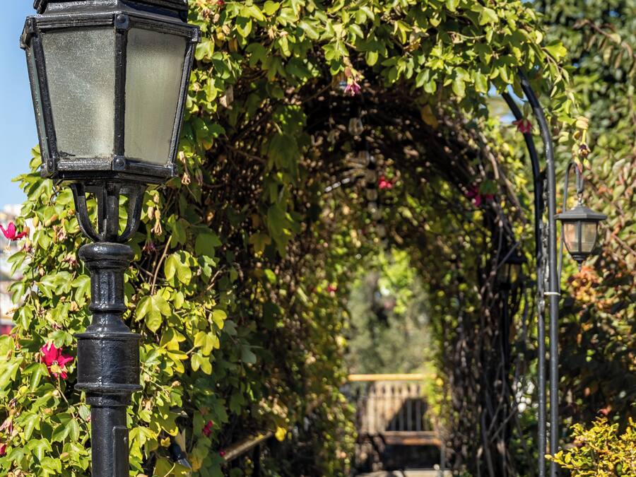 Un sendero con un farol y un arco cubierto de plantas trepadoras.