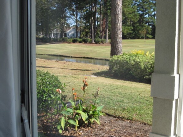A view from inside a building looking out to a well-maintained lawn with a pond, trees, and a house in the background.